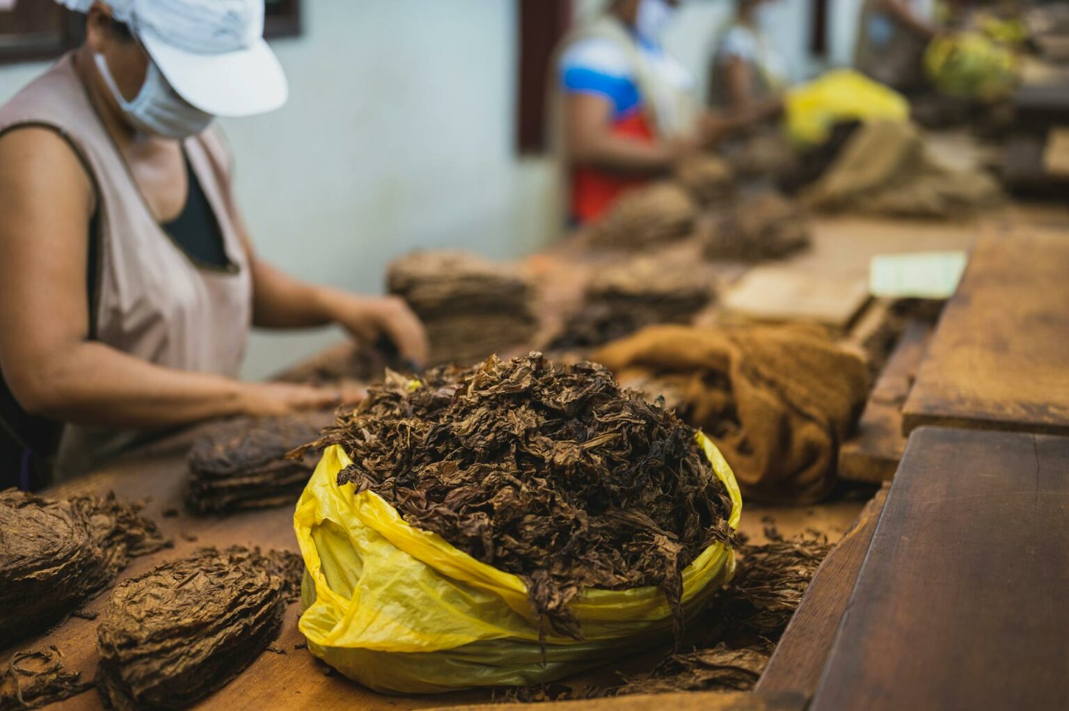Warum Ist Snus In Deutschland Verboten